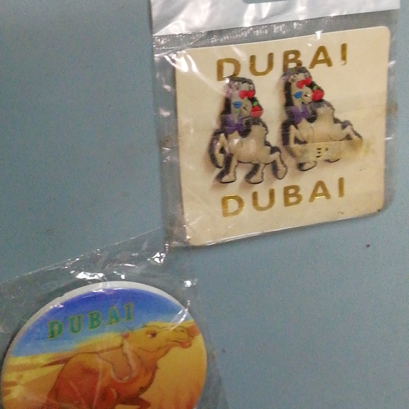 Matel magnet for referegrster showpiece - Picture 7 of 12